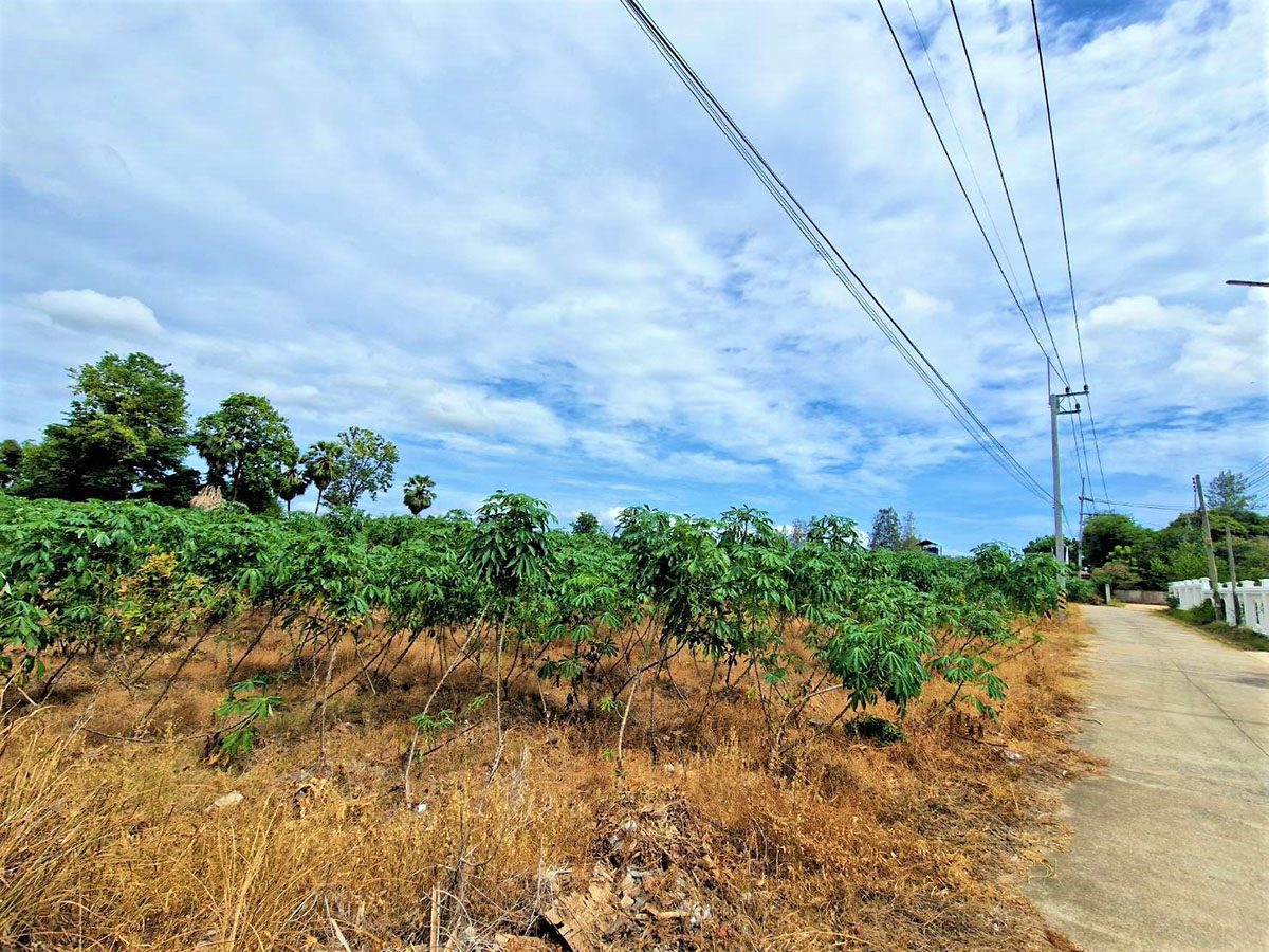 1 LS0031 – Land available in Pong