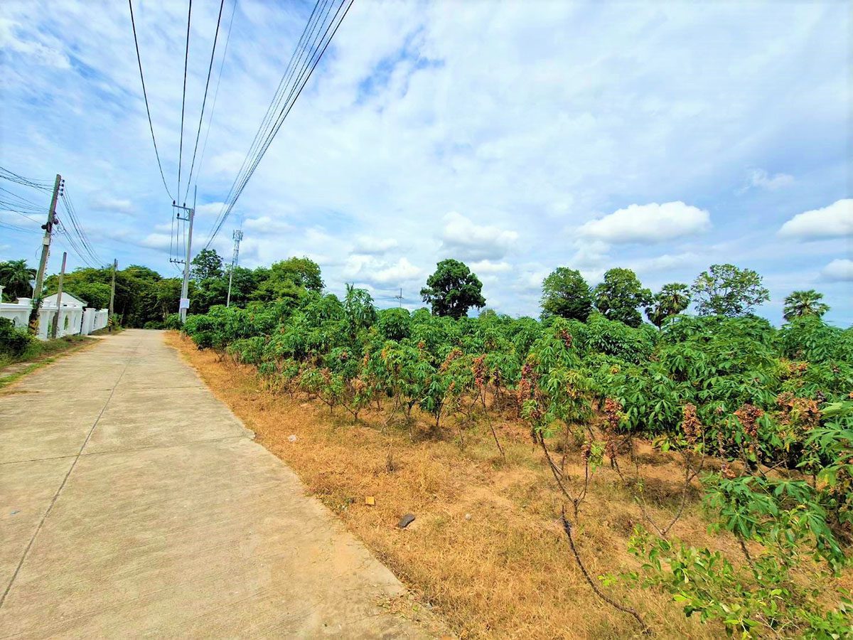 2 LS0031 – Land available in Pong
