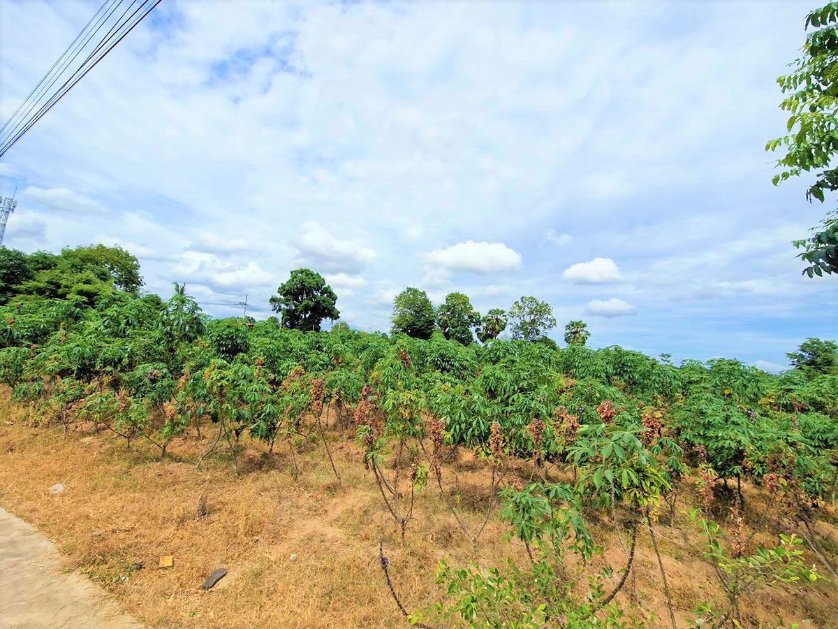 3 LS0031 – Land available in Pong