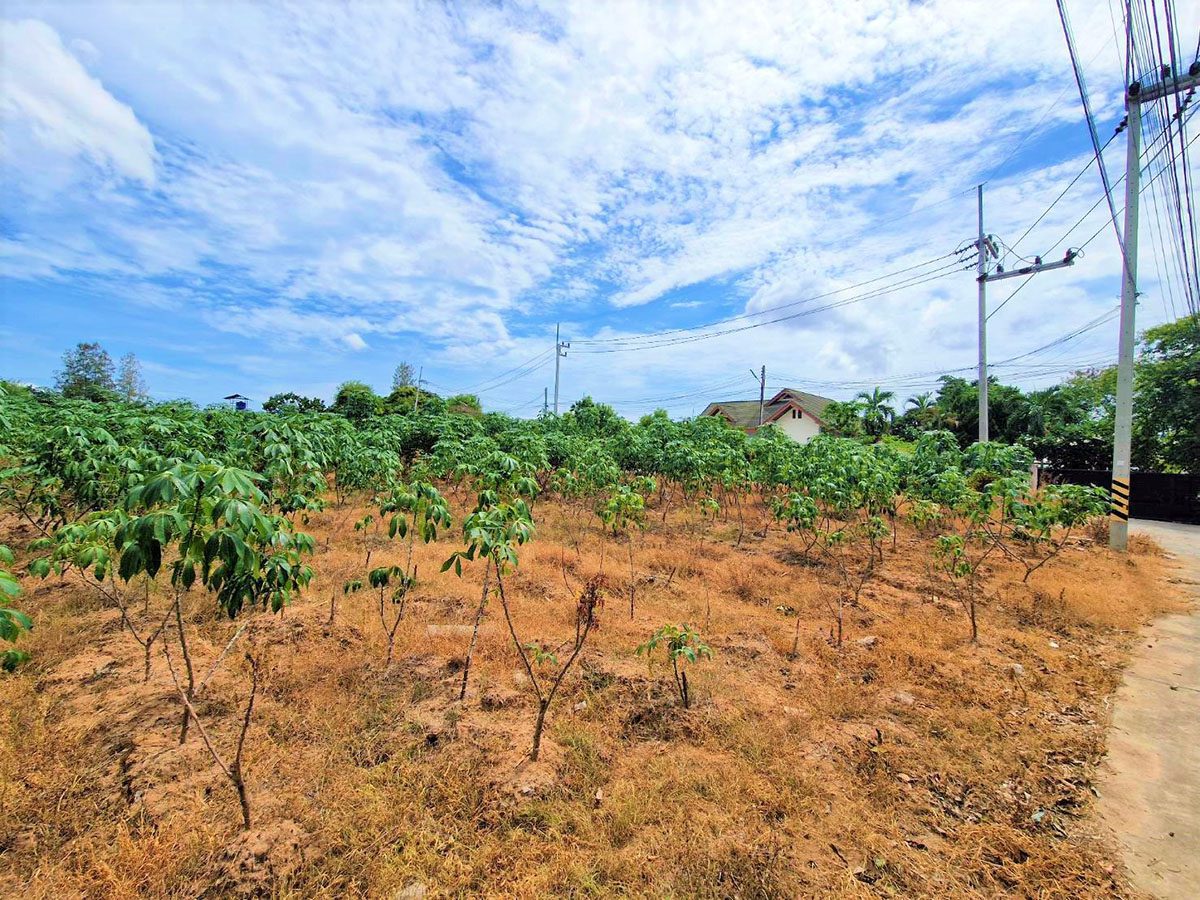 4 LS0031 – Land available in Pong