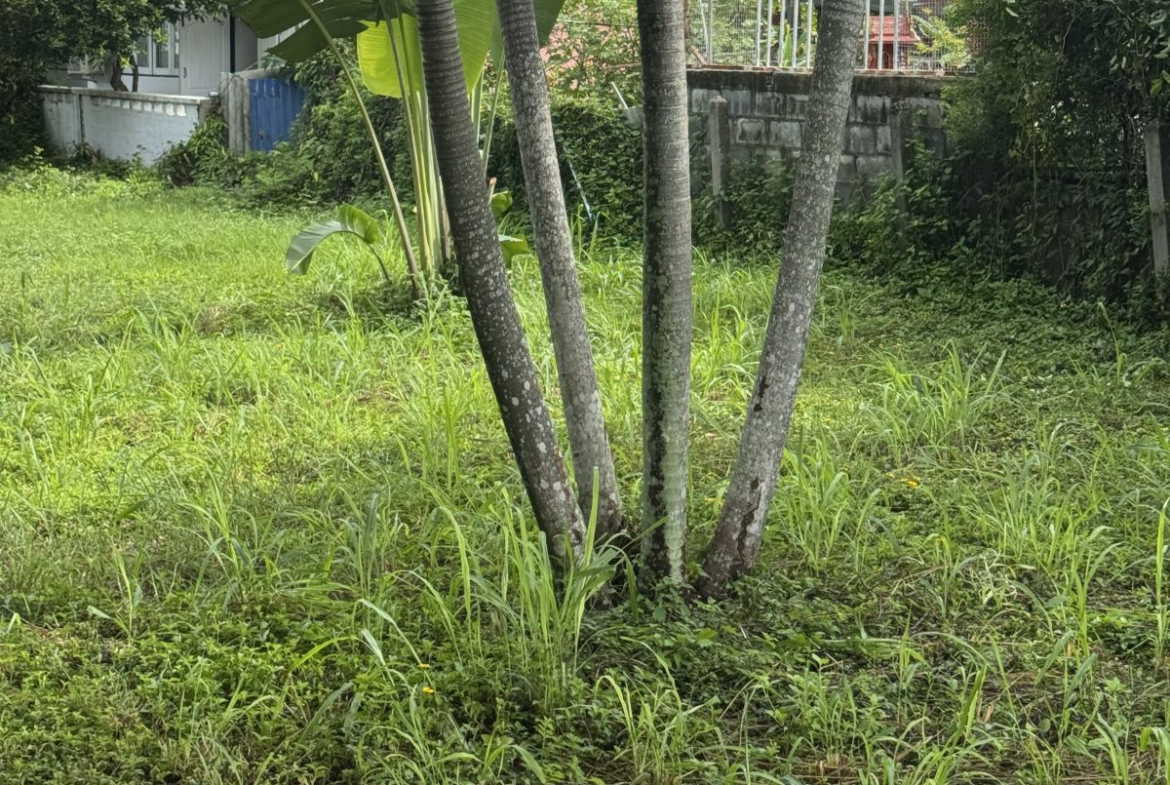 LS0066 – Land for Sale in Bang Sarey