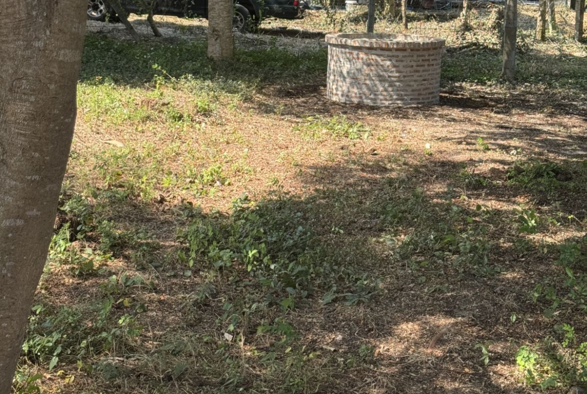 LS0066 – Land for Sale in Bang Sarey