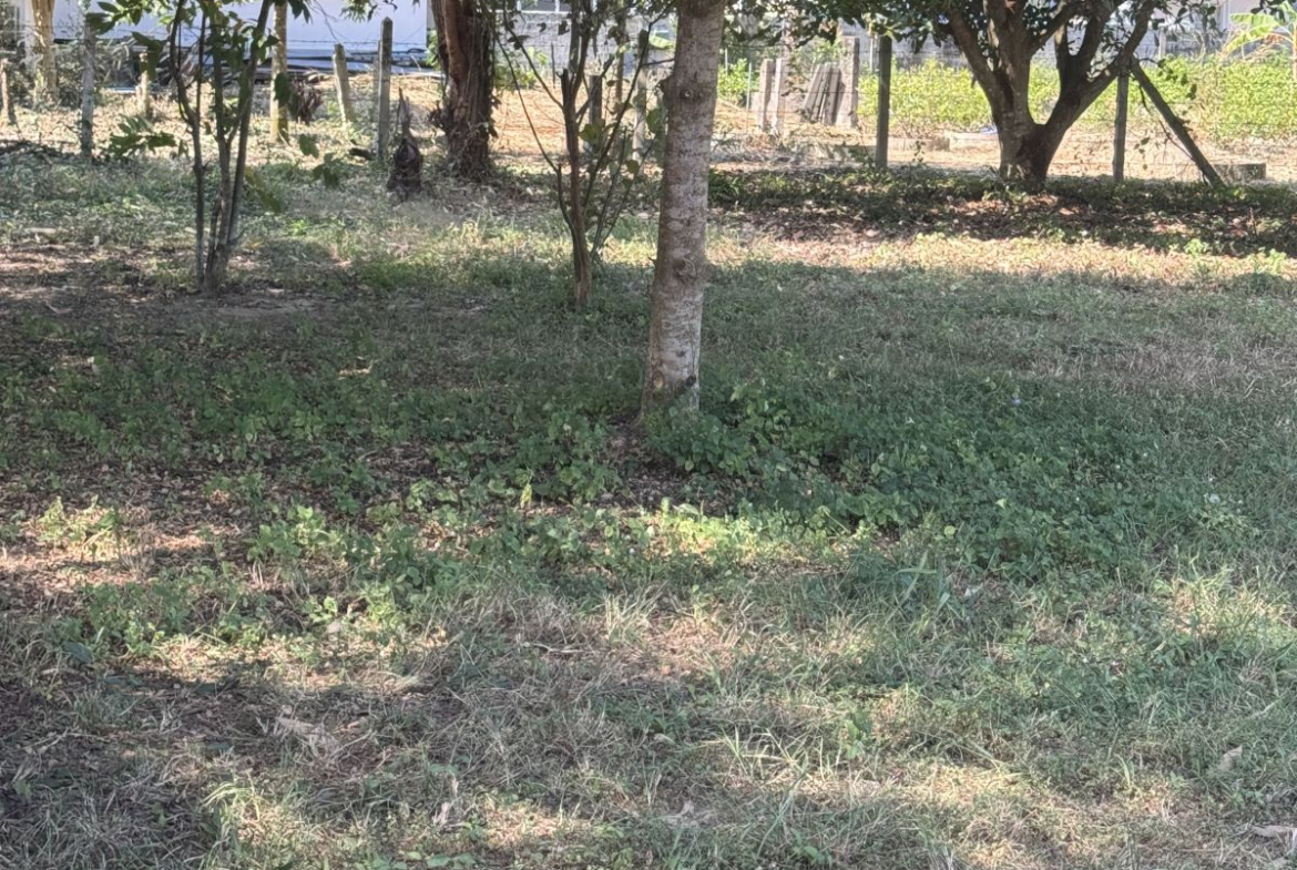 LS0066 – Land for Sale in Bang Sarey