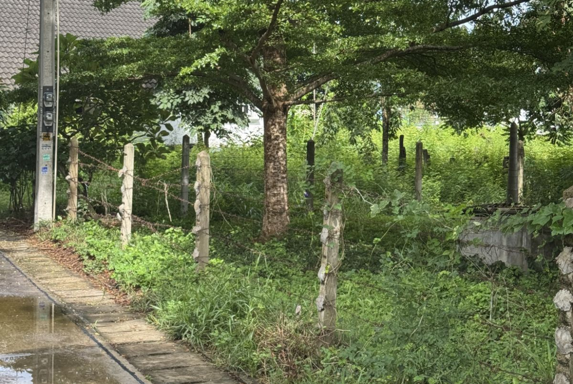LS0066 – Land for Sale in Bang Sarey