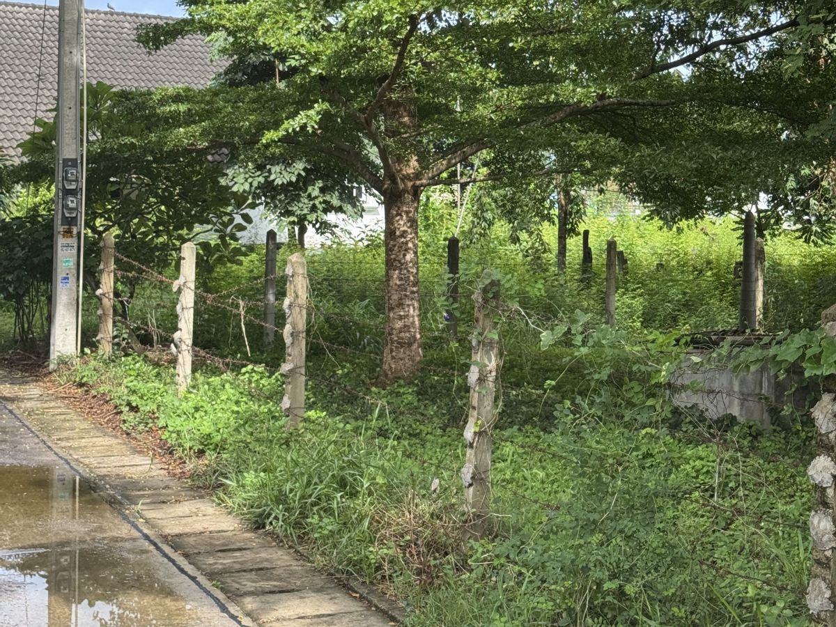 LS0066 – Land for Sale in Bang Sarey