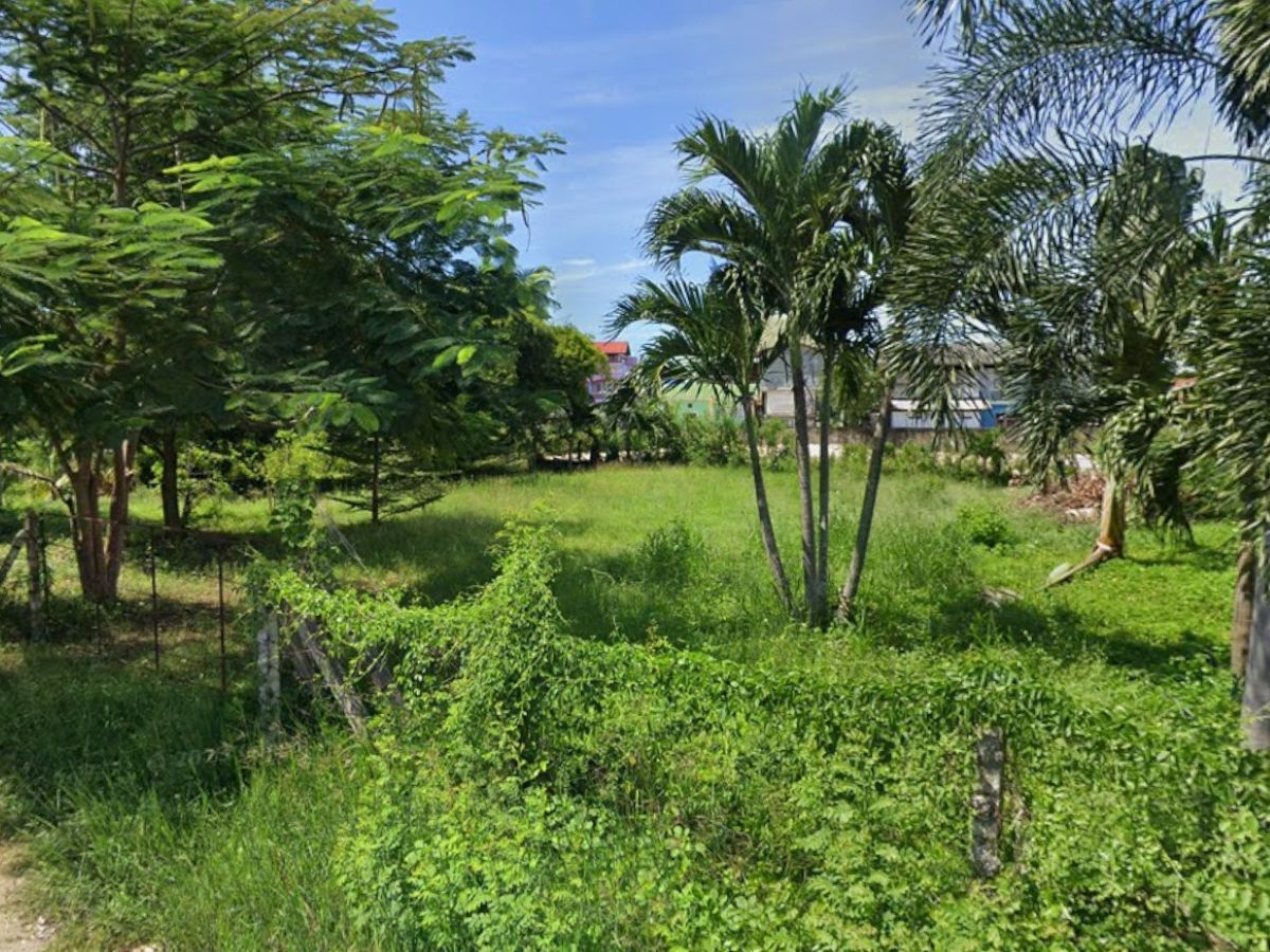 LS0066 – Land for Sale in Bang Sarey