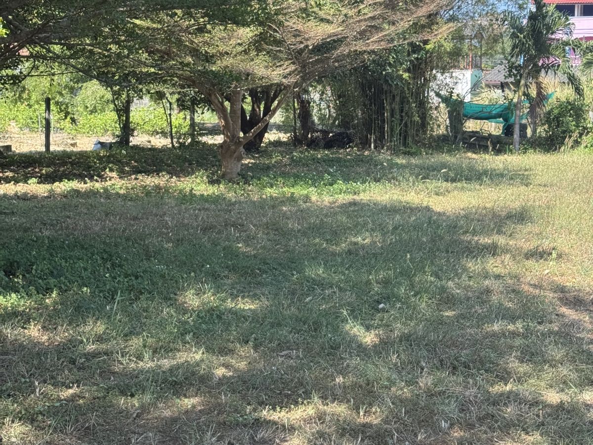 LS0066 – Land for Sale in Bang Sarey
