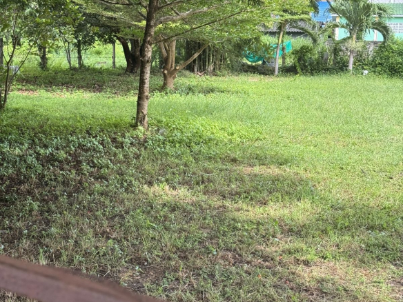 LS0066 – Land for Sale in Bang Sarey