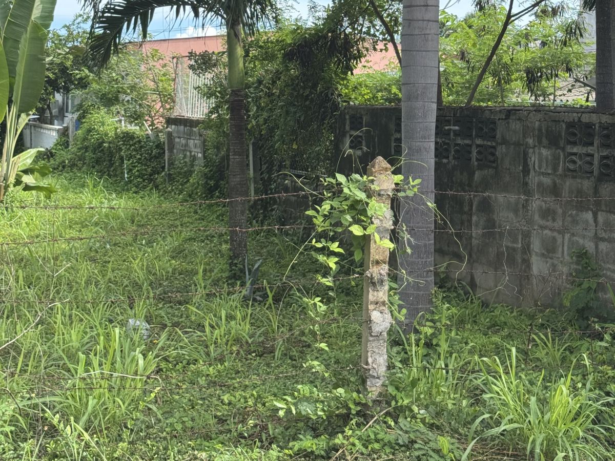 LS0066 – Land for Sale in Bang Sarey