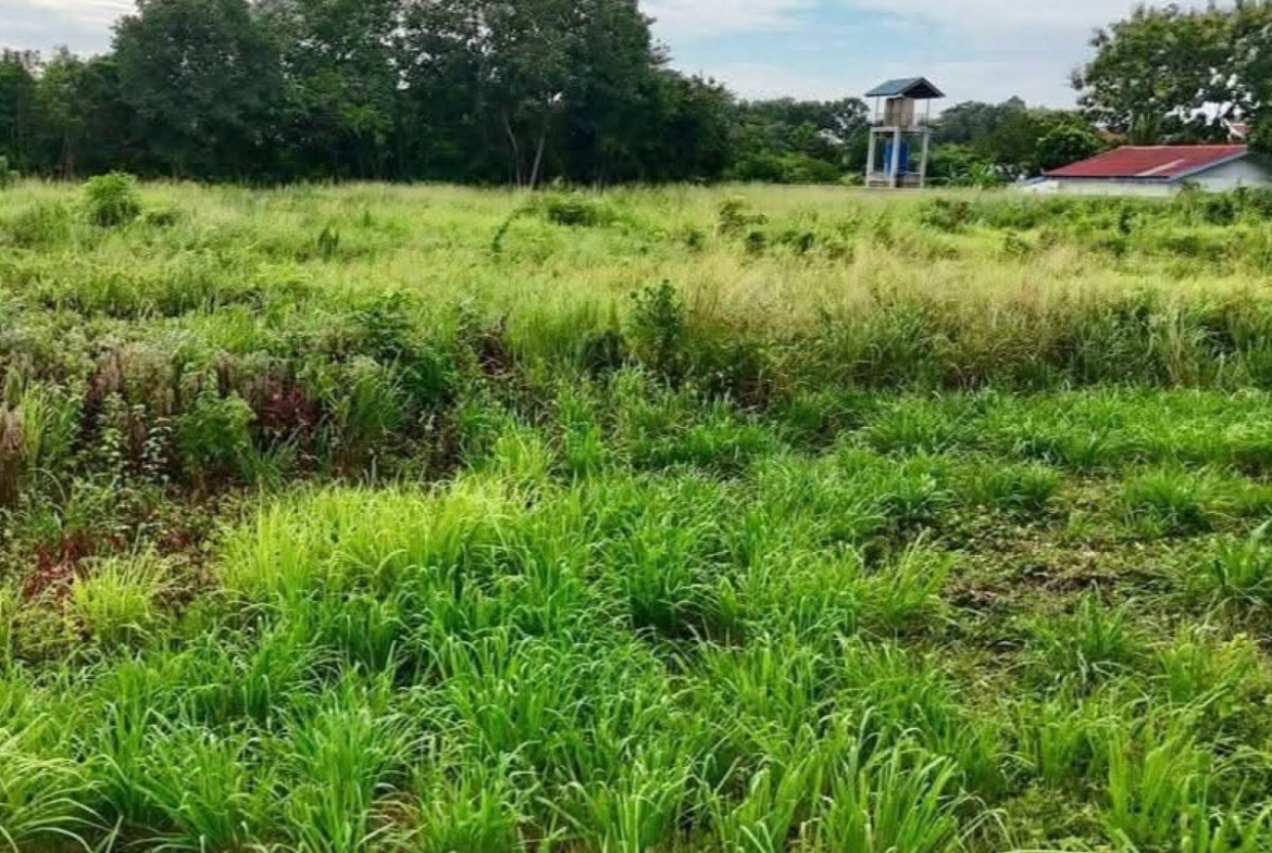 LS0067 – Land for Sale in ChaiyaPruek 2